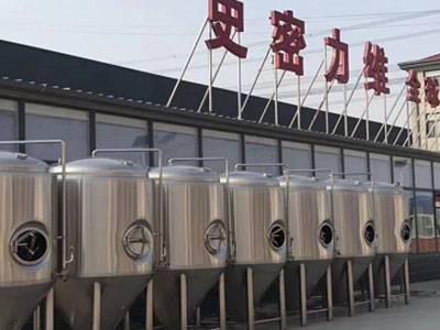 雷鸣镇精酿啤酒设备厂—市场规模与跨界新需求